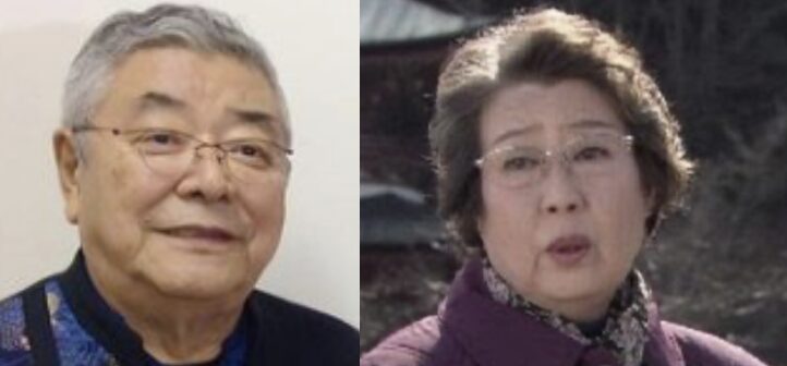 茅島成美を最近見ない理由とは?現在の活動を徹底調査!